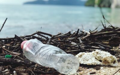 Anti-plastic campaign and its impact on business