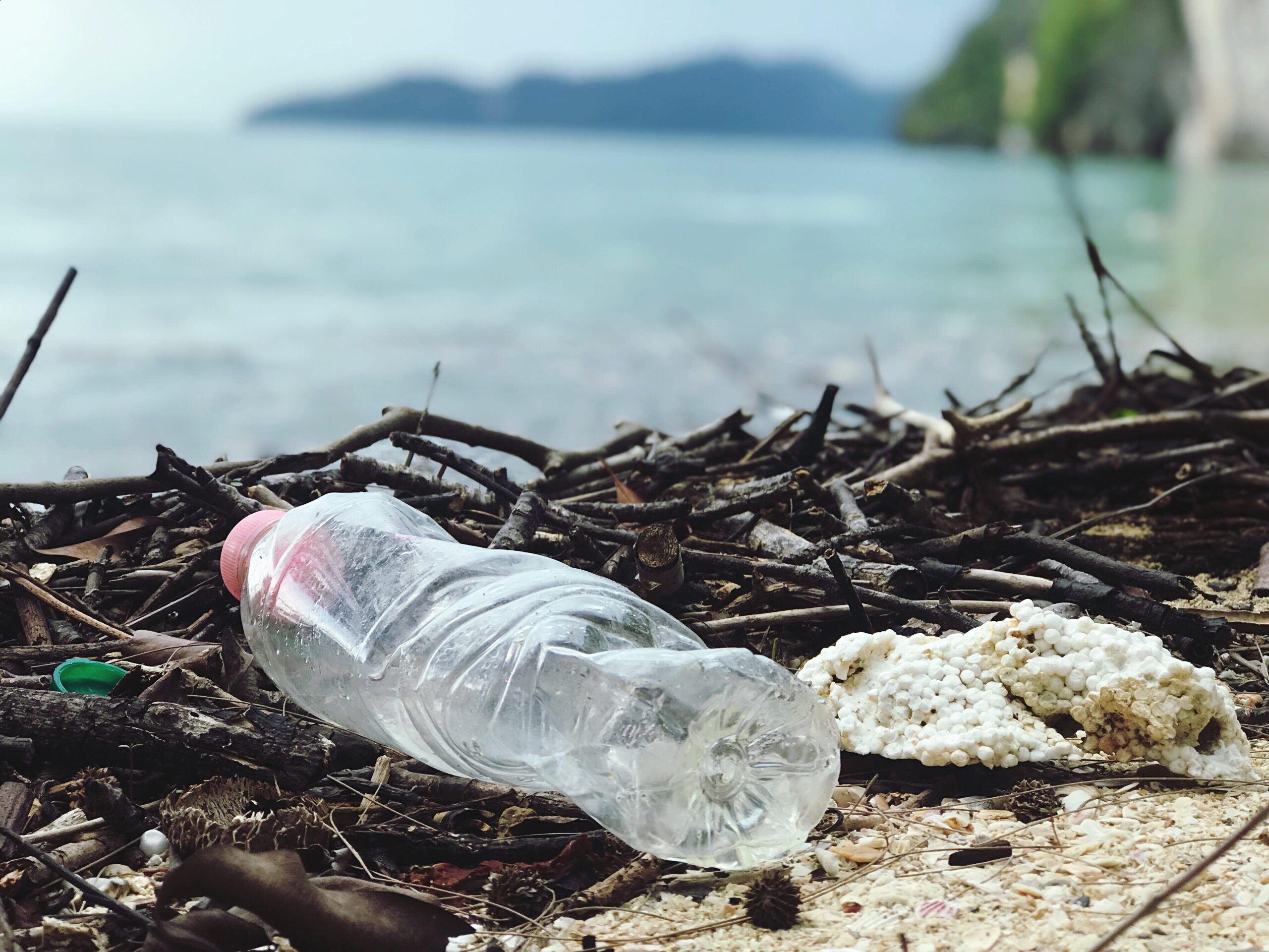 Anti-plastic campaign and its impact on business
